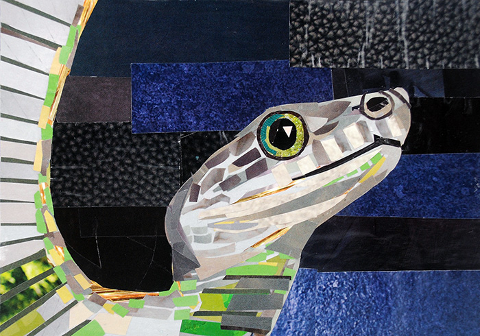 What a Snake by collage artist Megan Coyle