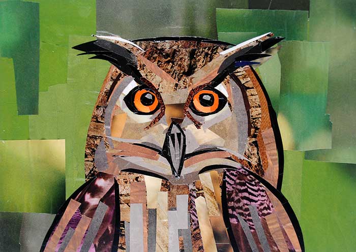 Who Gives a Hoot by collage artist Megan Coyle