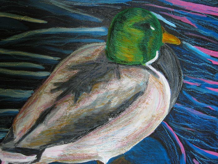 Duck mixed media painting by Megan Coyle