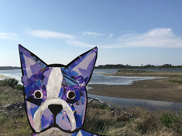 Bosty visits Chincoteague by Megan Coyle