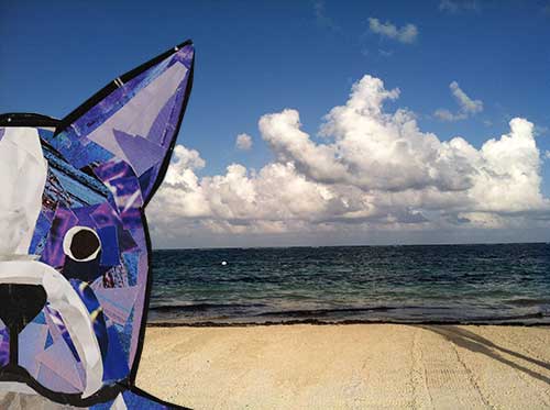 Bosty goes to Mexico by collage artist Megan Coyle