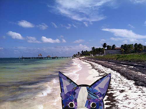 Bosty goes to Mexico by collage artist Megan Coyle
