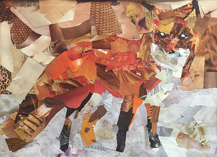 Collages from students in Columbia, MD inspired by Megan Coyle's art