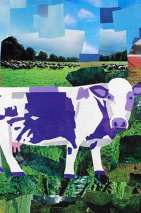 A Purple Cow’s Paradise