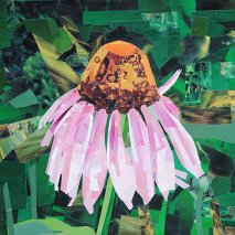 Title: Cone Flower