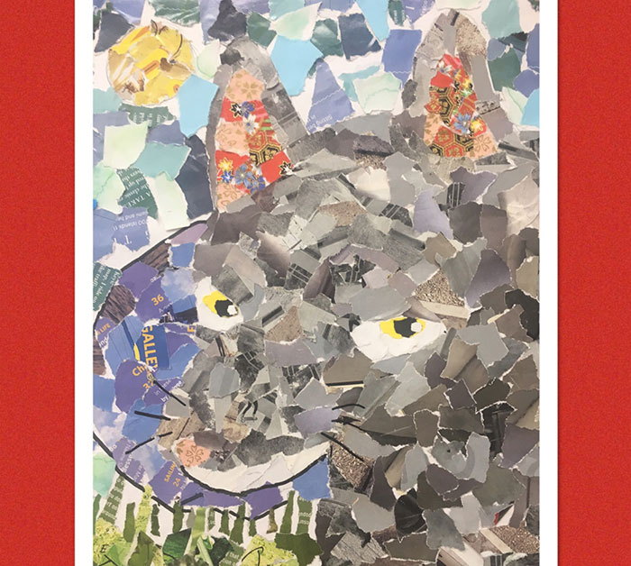 Coyle-inspired collage made by a student in Japan