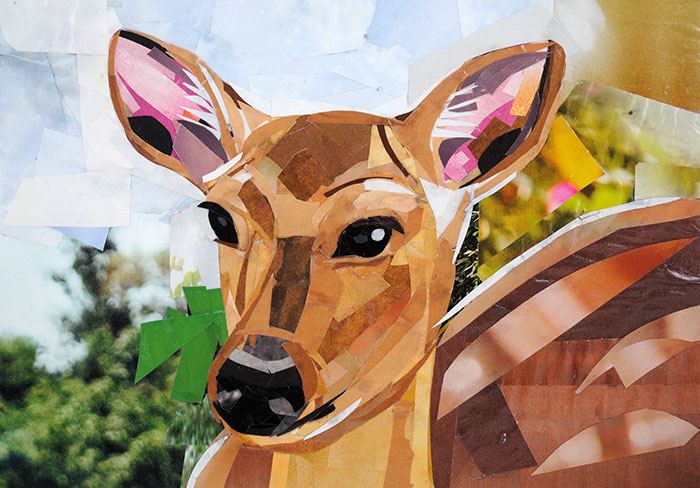 Oh Dear, a Deer by collage artist Megan Coyle