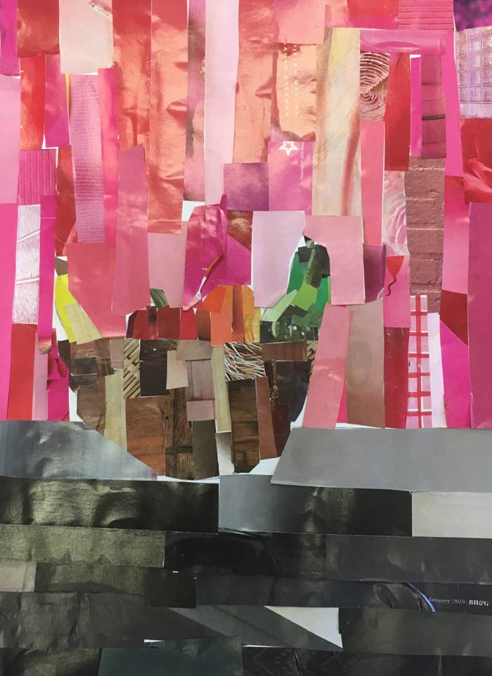 Student collage from Tucson inspired by Megan Coyle's collages