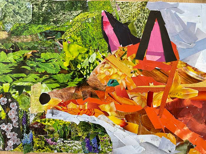 Wildlife student collage inspired by Megan Coyle