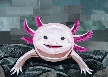 Axolotl (5"x7")