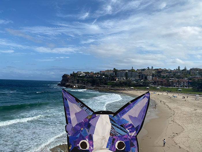 Bosty goes to Australia by Megan Coyle