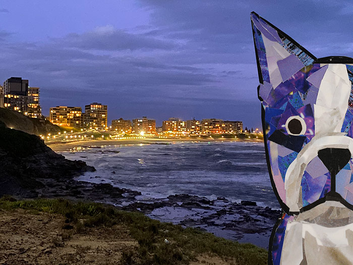 Bosty goes to Australia by Megan Coyle