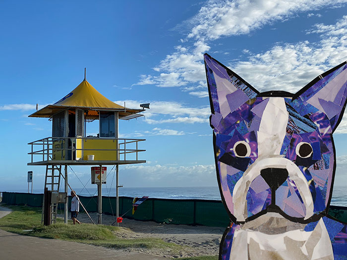 Bosty goes to Australia by Megan Coyle