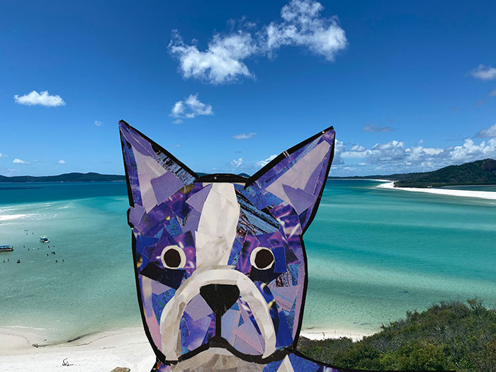Bosty goes to Australia by Megan Coyle