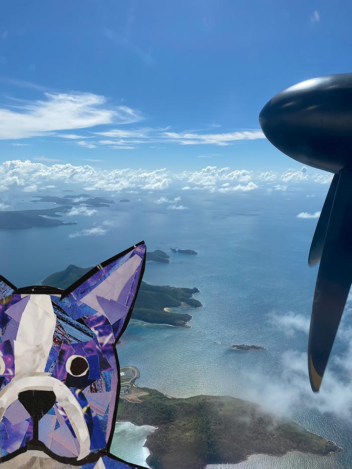 Bosty goes to Australia by Megan Coyle