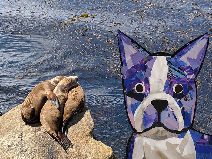 Bosty goes to Monterey by collage artist Megan Coyle