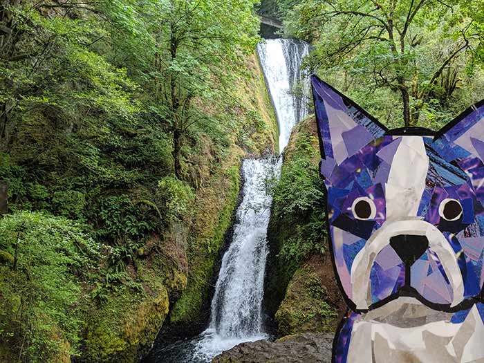 Bosty goes to Portland, Oregon by Megan Coyle