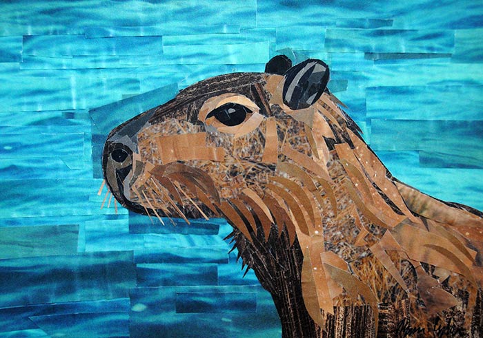 Capybara collage by Megan Coyle