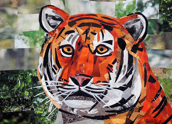 animal art  Megan Coyle: Artist & Illustrator