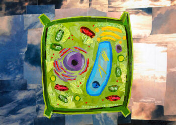 I Beleaf This is a Plant Cell by collage artist Megan Coyle