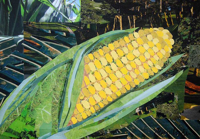 Corn collage by artist Megan Coyle