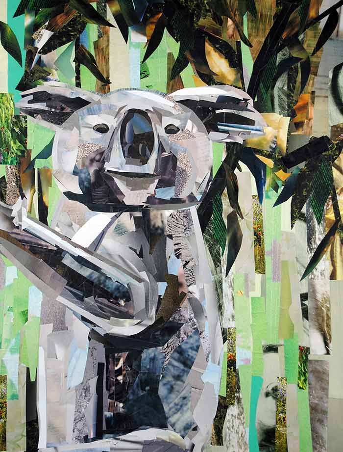 "Koala Bear" by Megan Coyle