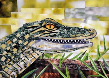 Later Alligator collage by Megan Coyle