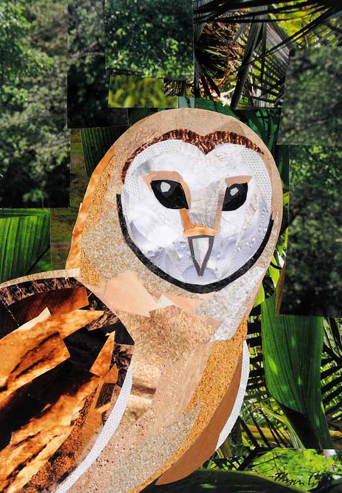 Owl Be Back is a collage by Megan Coyle