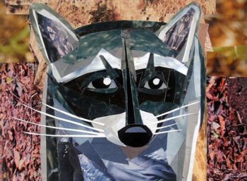 Rocky the Raccoon by collage artist Megan Coyle