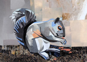 Squirrel by collage artist Megan Coyle