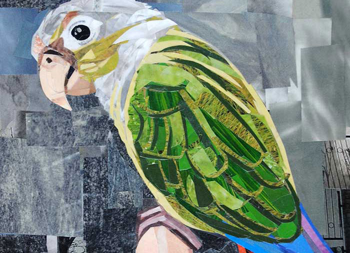 The Colorful Conure is a collage made entirely from magazine cutouts by Megan Coyle