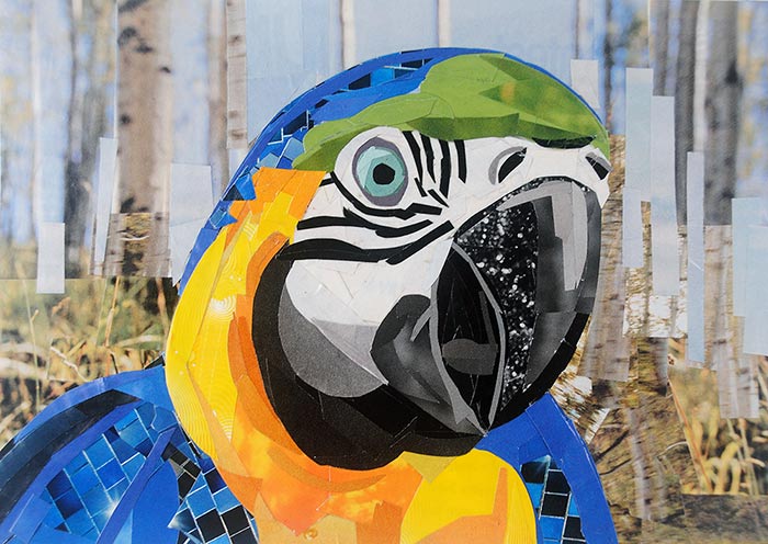 The Colorful Parrot by collage artist Megan Coyle