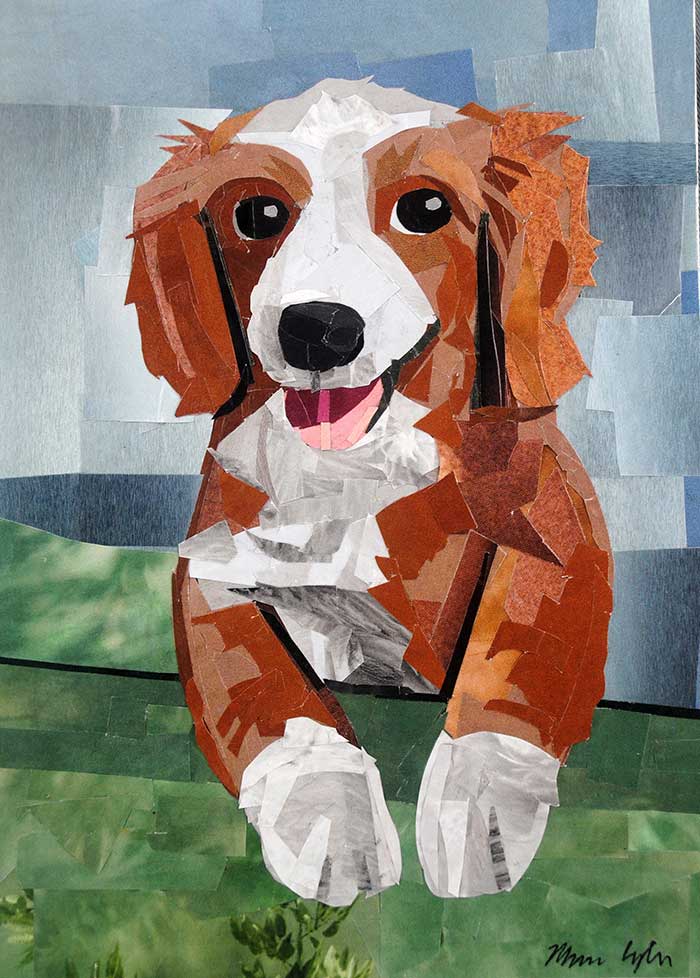 The Happy Bernedoodle by collage artist Megan Coyle