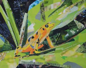 Tree Frog by collage artist Megan Coyle