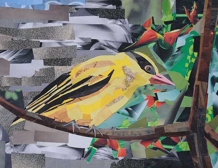 Yellow Bird by collage artist Megan Coyle