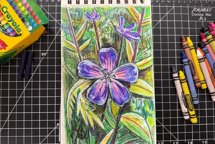 Flower Crayon Drawing by Megan Coyle