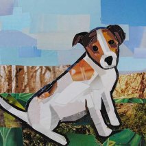 Title: Jack Russell Terrier