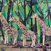 "One, Two, Three Giraffes" by Megan Coyle