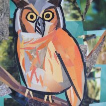 "Owl" by Megan Coyle