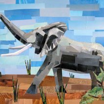 "Elephant" by Megan Coyle