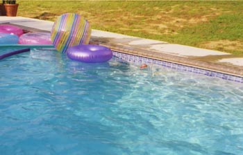 If Fish lived in a swimming pool...